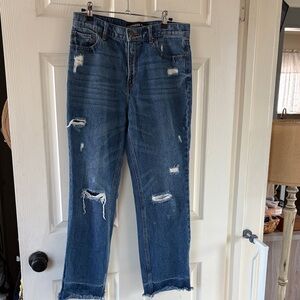 Express Classic Blue Denim Jeans